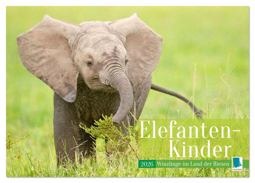 Elefanten Kinder: Winzlinge im Land der Riesen (Wandkalender 2026 DIN A2 quer) CALVENDO Monatskalender