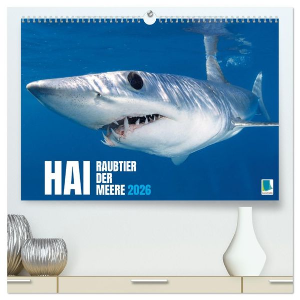 Hai: Raubtier der Meere (hochwertiger Premium Wandkalender 2026 DIN A2 quer) Kunstdruck in Hochglanz