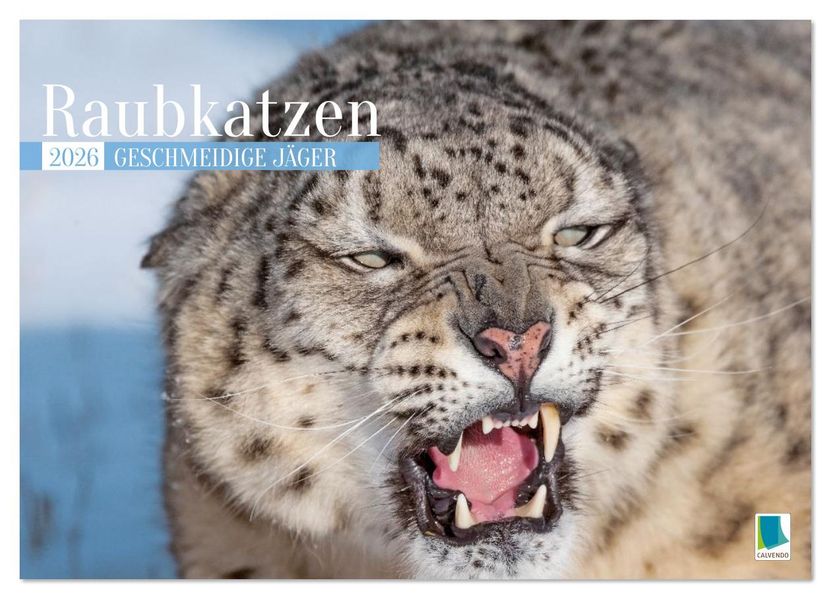 Raubkatzen: Geschmeidige Jäger (Wandkalender 2026 DIN A2 quer) CALVENDO Monatskalender