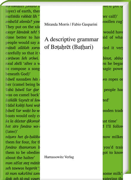 A descriptive grammar of Bart (Baari)