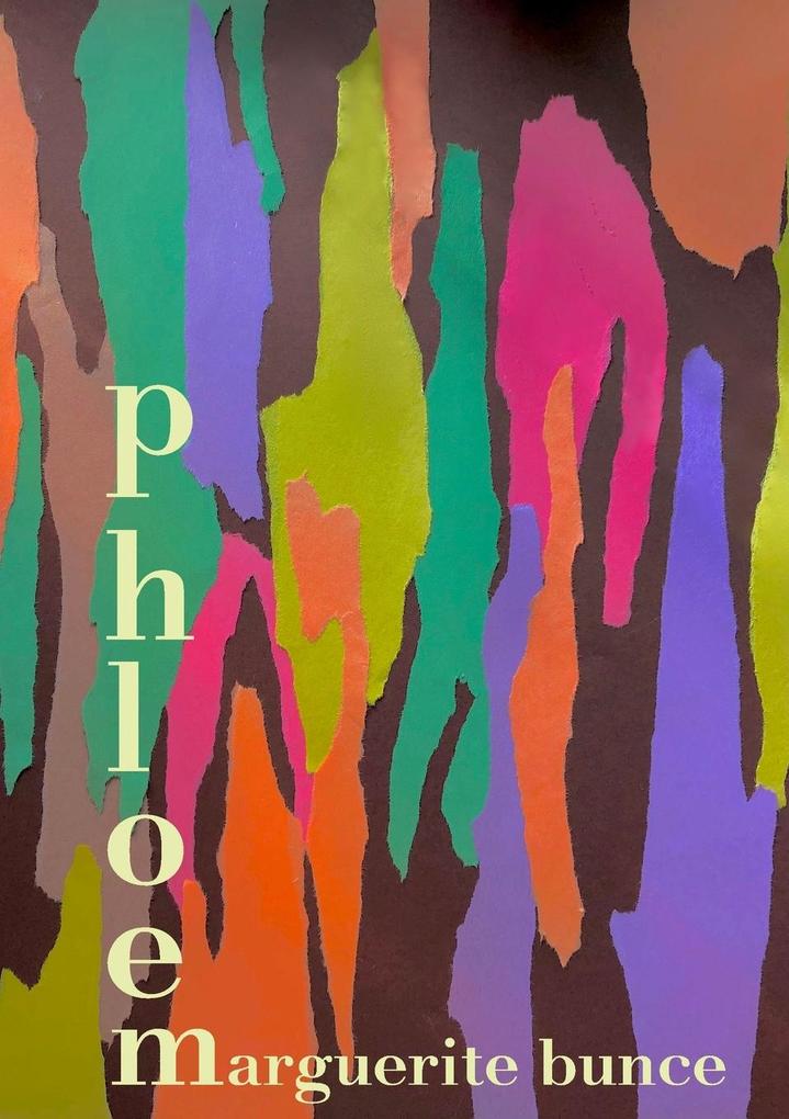 Phloem