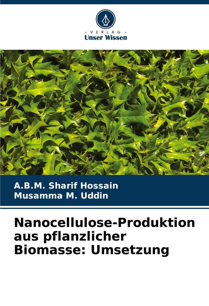 Nanocellulose-Produktion aus pflanzlicher Biomasse: Umsetzung