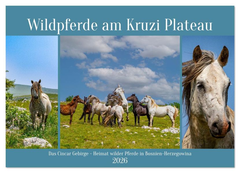 Wildpferde am Kruzi Plateau (Wandkalender 2026 DIN A3 quer) CALVENDO Monatskalender