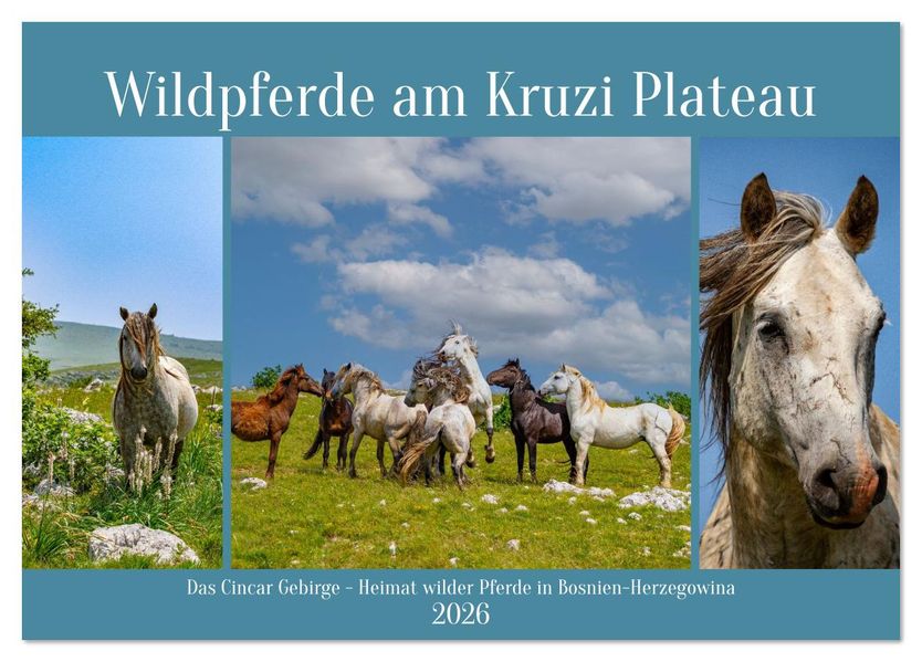 Wildpferde am Kruzi Plateau (Tischkalender 2026 DIN A5 quer) CALVENDO Monatskalender
