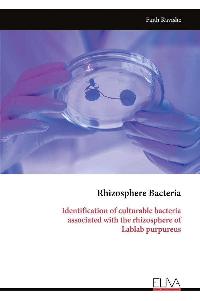 Rhizosphere Bacteria