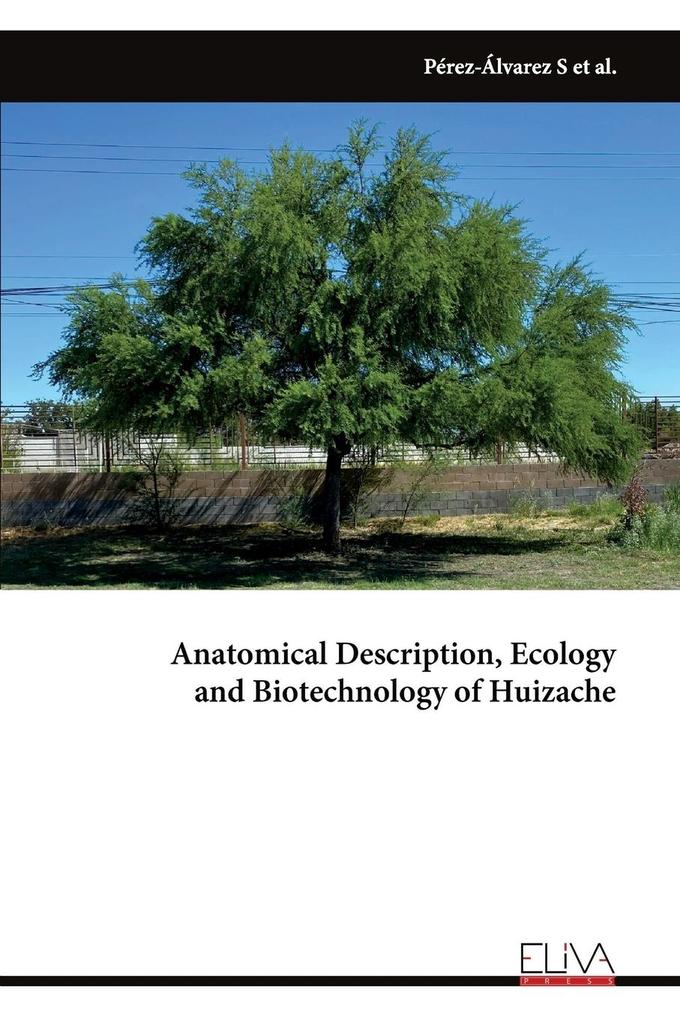 Anatomical Description Ecology and Biotechnology of Huizache