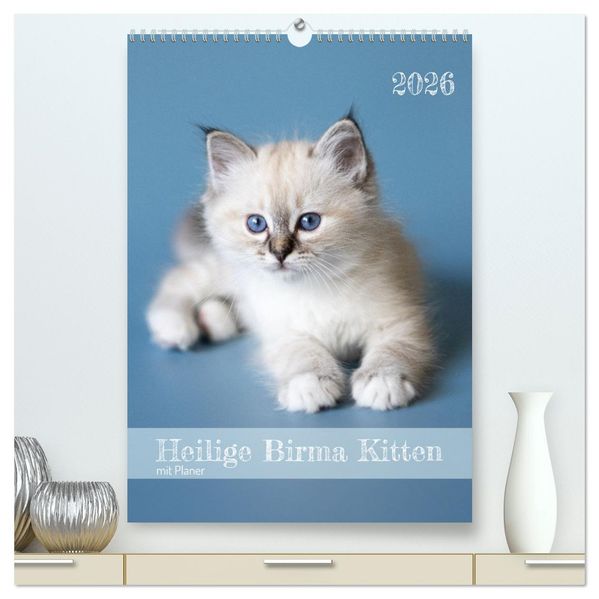 Heilige Birma Kitten Kalender mit Planer (hochwertiger Premium Wandkalender 2026 DIN A2 hoch) Kunstdruck in Hochglanz