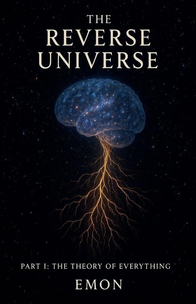 The Reverse Universe