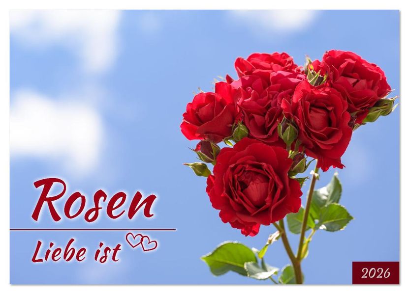 Rosen Liebe ist (Wandkalender 2026 DIN A3 quer) CALVENDO Monatskalender