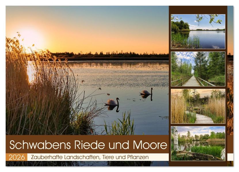 Schwabens Riede und Moore (Wandkalender 2026 DIN A2 quer) CALVENDO Monatskalender