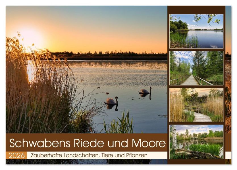 Schwabens Riede und Moore (Tischkalender 2026 DIN A5 quer) CALVENDO Monatskalender