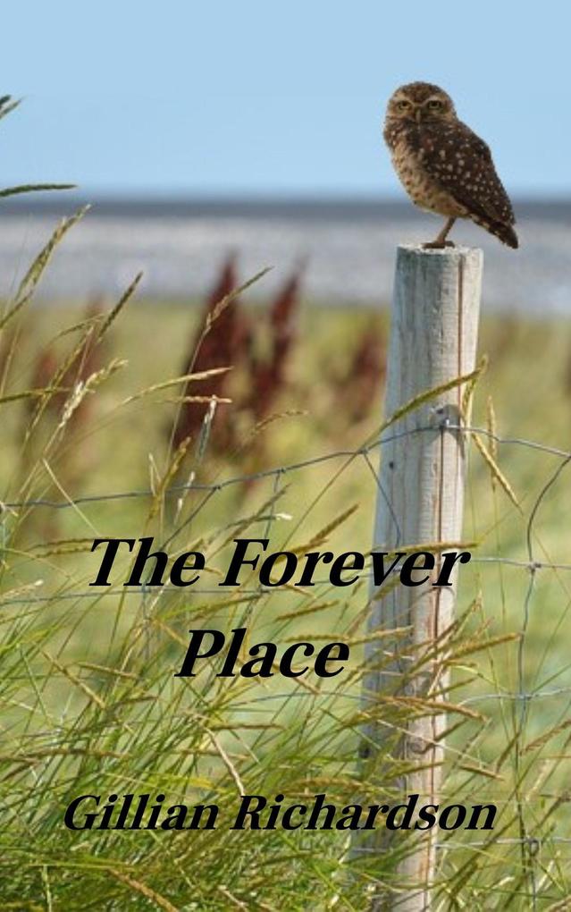 The Forever Place