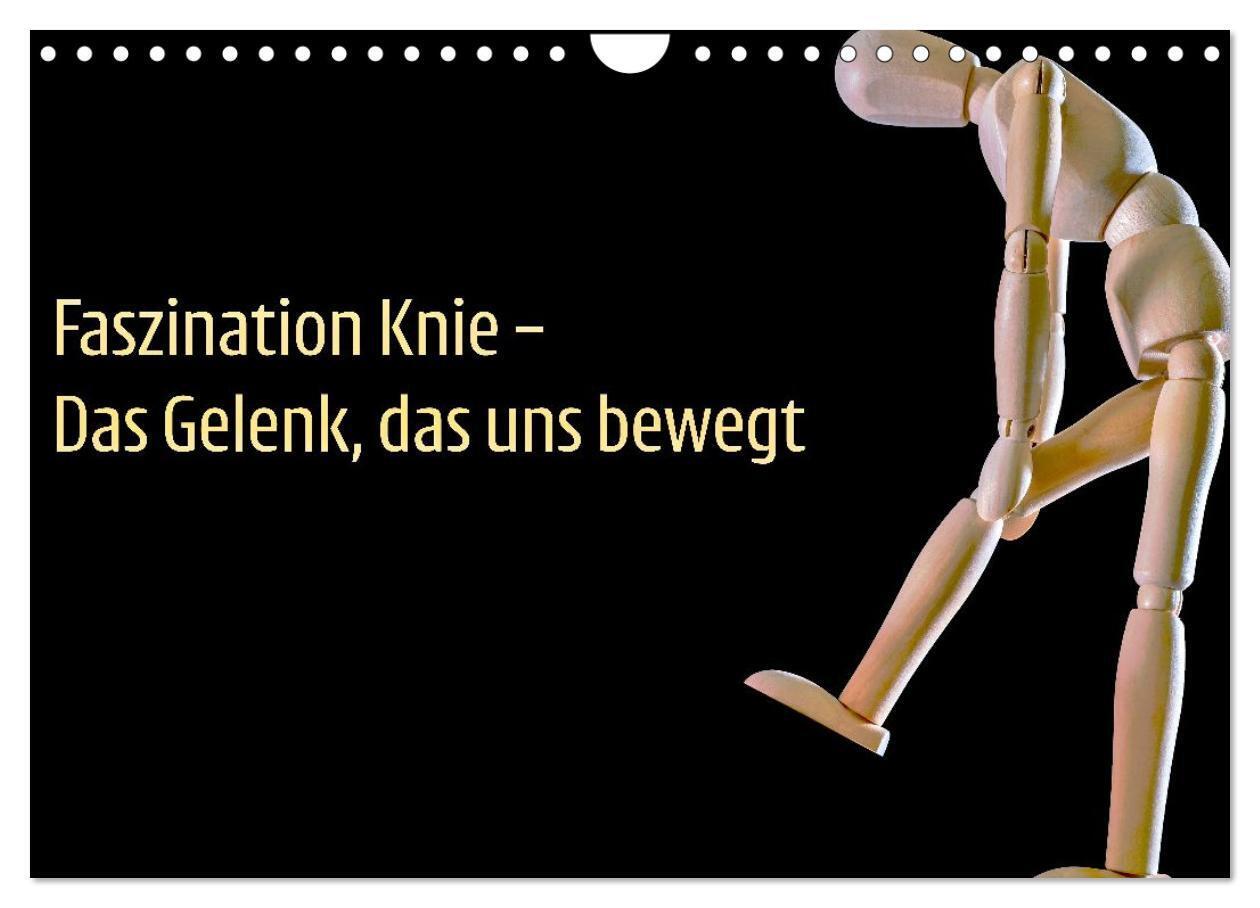 Faszination Knie - Das Gelenk das uns bewegt (Wandkalender 2026 DIN A4 quer) CALVENDO Monatskalender
