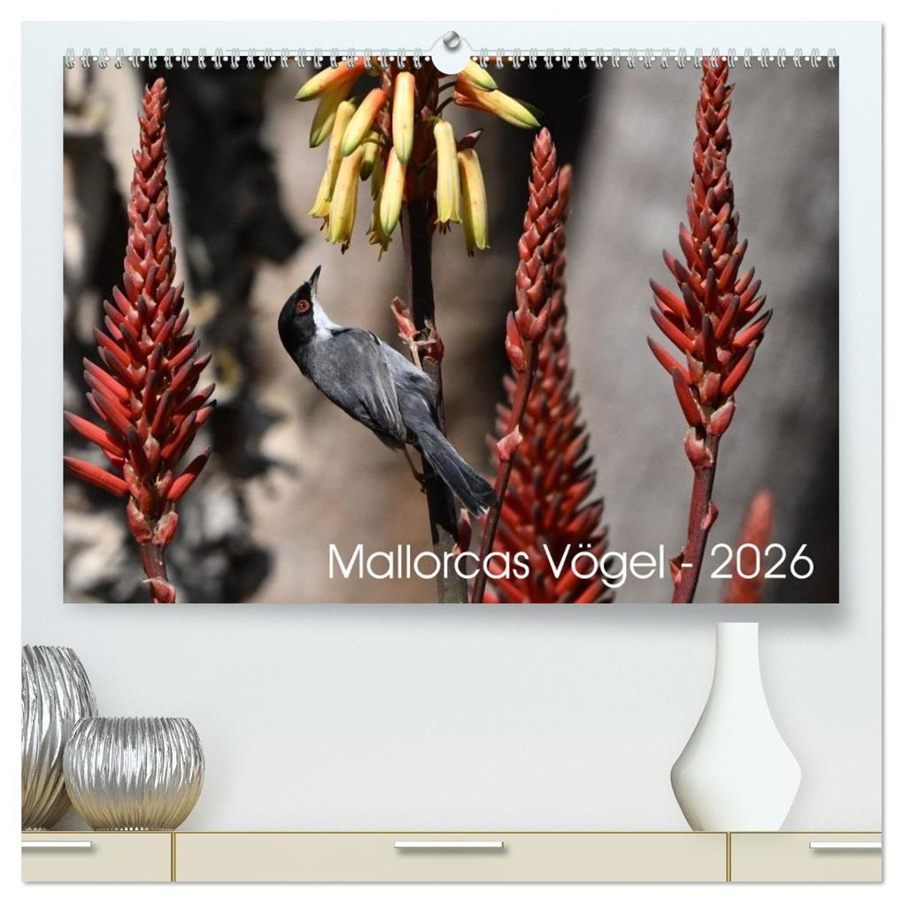 Mallorcas Vögel (hochwertiger Premium Wandkalender 2026 DIN A2 quer) Kunstdruck in Hochglanz
