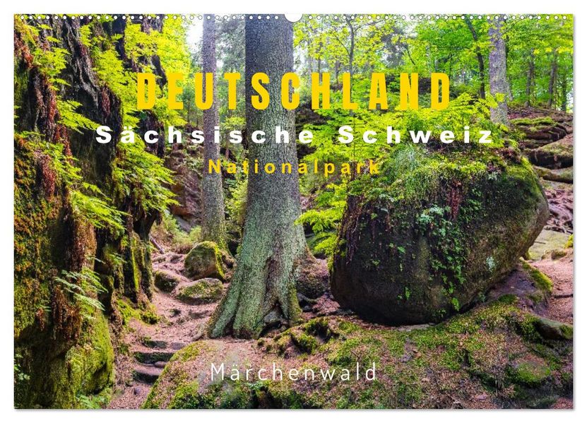 DEUTSCHLAND Sächsische Schweiz Nationalpark Märchenwald (Wandkalender 2026 DIN A2 quer) CALVENDO Monatskalender