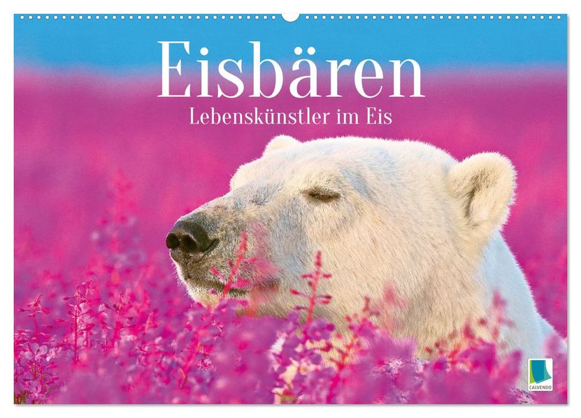 Eisbären: Lebenskünstler im Eis (Wandkalender 2026 DIN A2 quer) CALVENDO Monatskalender