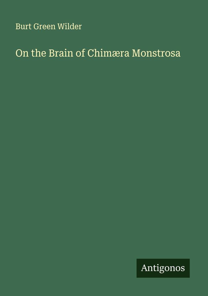 On the Brain of Chimæra Monstrosa
