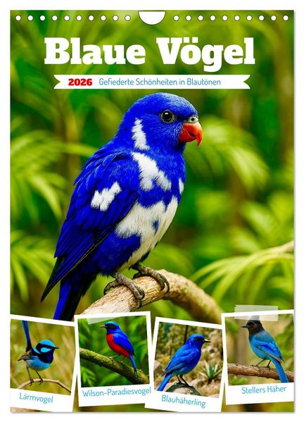 Blaue Vögel (Wandkalender 2026 DIN A4 hoch) CALVENDO Monatskalender