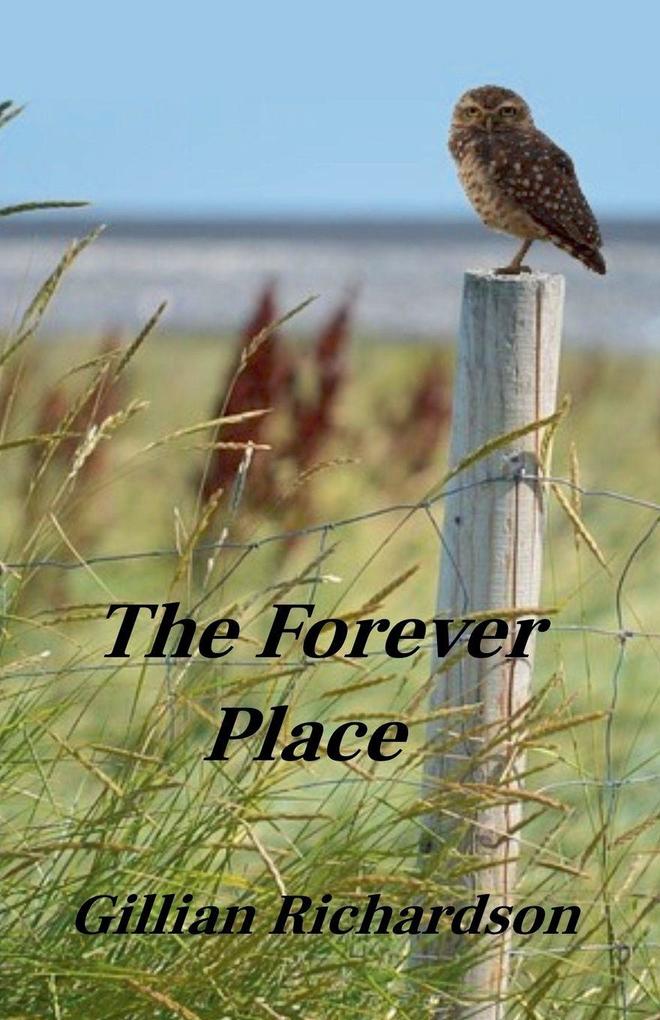 The Forever Place