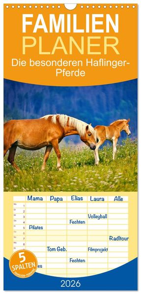 Familienplaner 2026 - Die besonderen Haflinger-Pferde mit 5 Spalten (Wandkalender 21 x 45 cm) CALVENDO