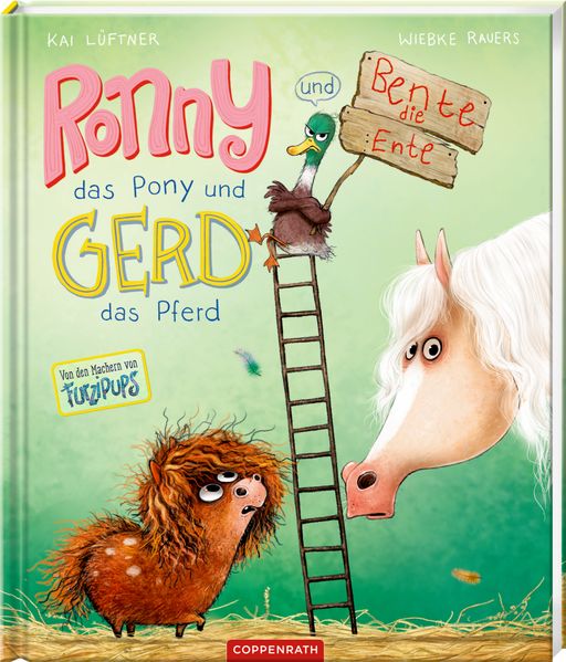 Ronny das Pony (Bd. 2)