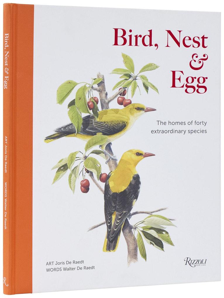Bird Nest & Egg