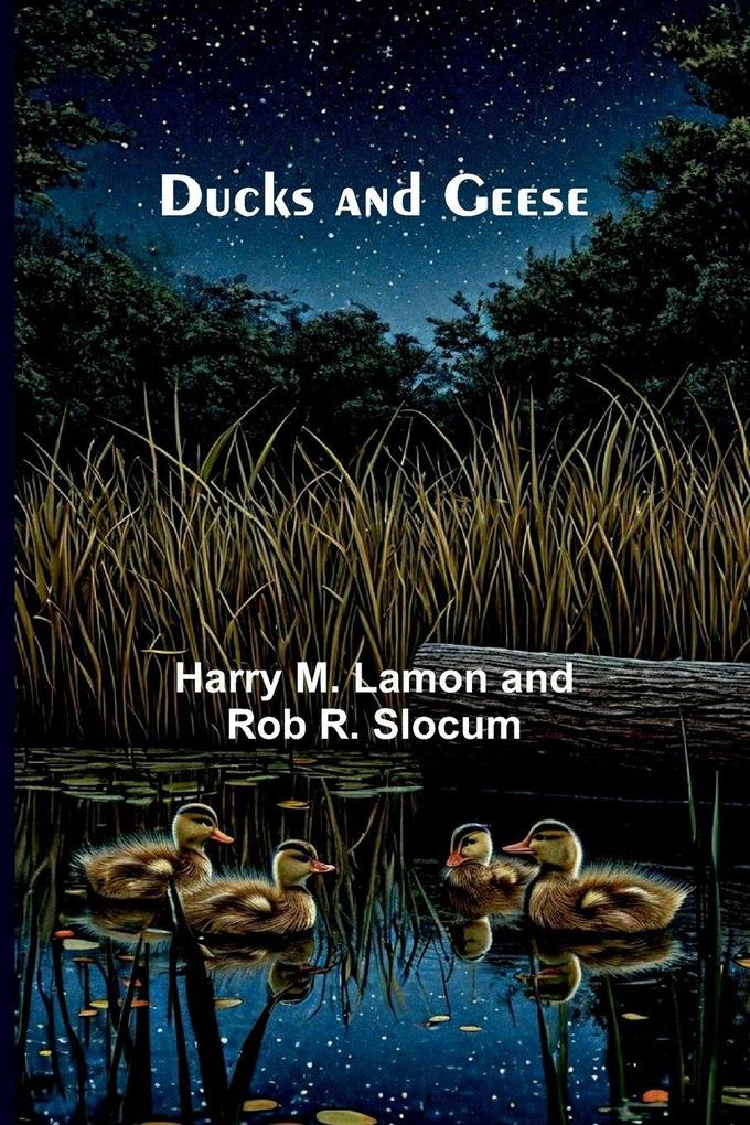 Ducks and Geese