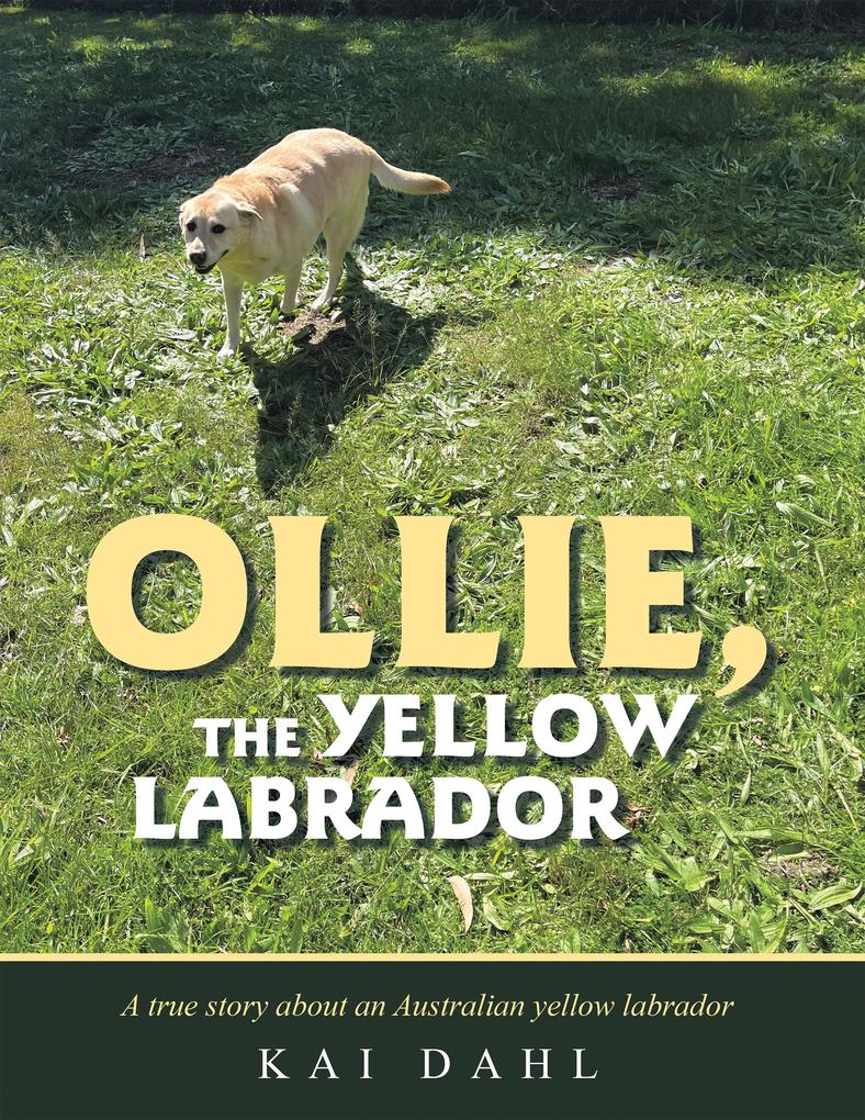 OLLIE THE YELLOW LABRADOR