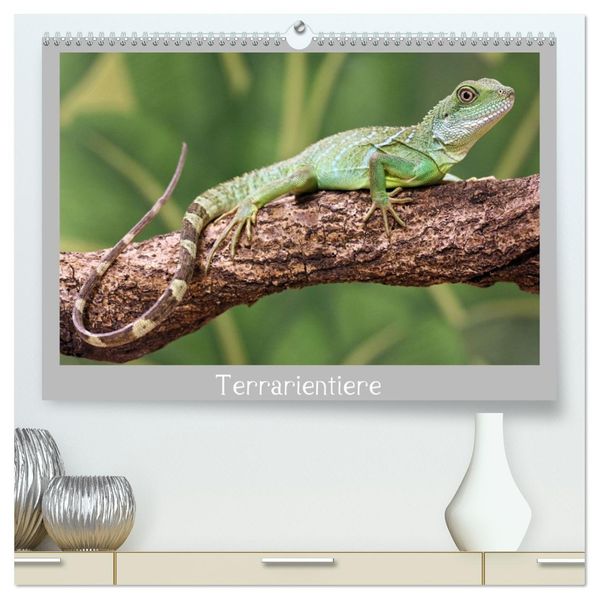 Terrarientiere (hochwertiger Premium Wandkalender 2026 DIN A2 quer) Kunstdruck in Hochglanz