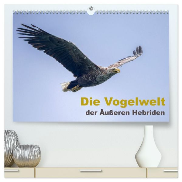Die Vogelwelt der Äußeren Hebriden (hochwertiger Premium Wandkalender 2026 DIN A2 quer) Kunstdruck in Hochglanz