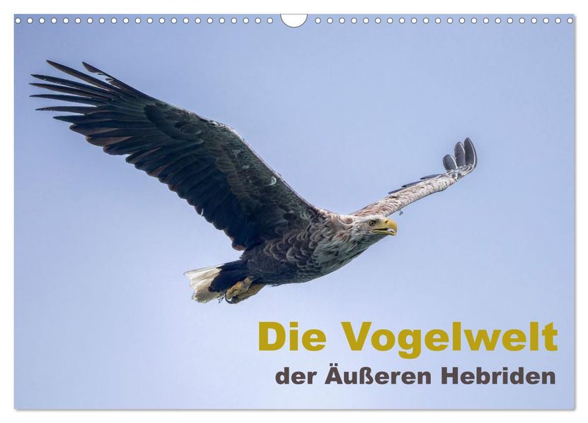 Die Vogelwelt der Äußeren Hebriden (Wandkalender 2026 DIN A3 quer) CALVENDO Monatskalender