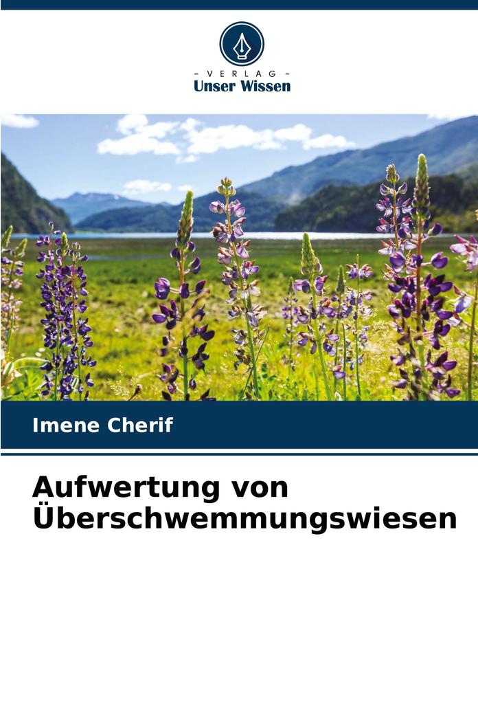 Aufwertung von Überschwemmungswiesen