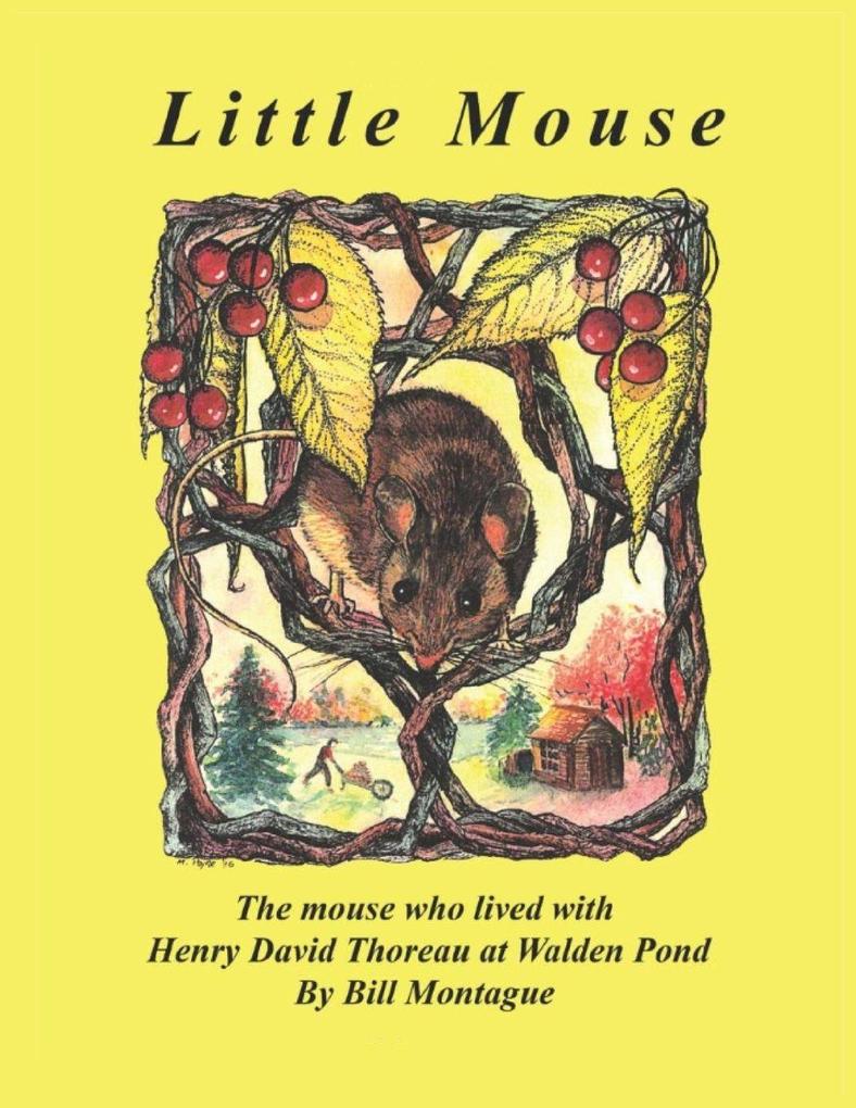 Little Mouse