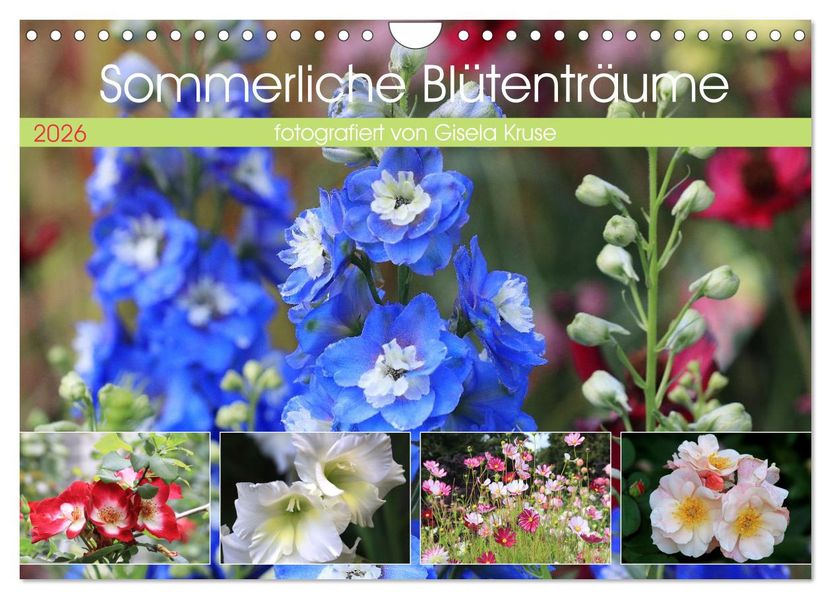 Sommerliche Blütenträume (Wandkalender 2026 DIN A4 quer) CALVENDO Monatskalender