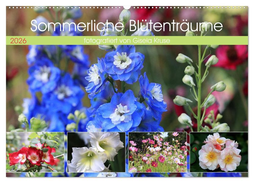 Sommerliche Blütenträume (Wandkalender 2026 DIN A2 quer) CALVENDO Monatskalender