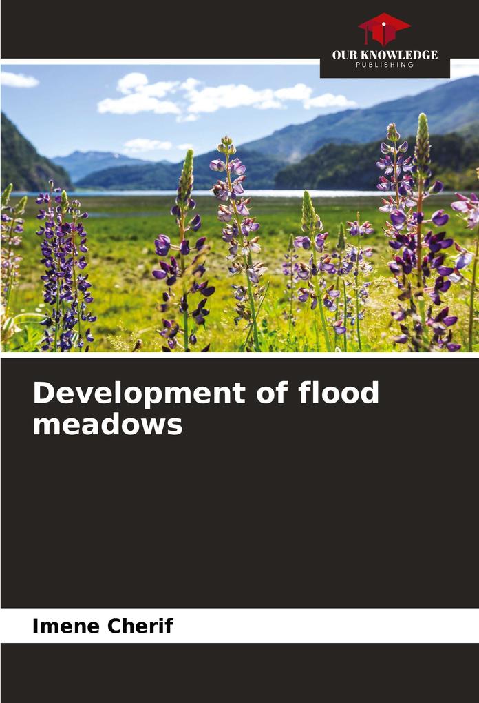 Development of flood meadows