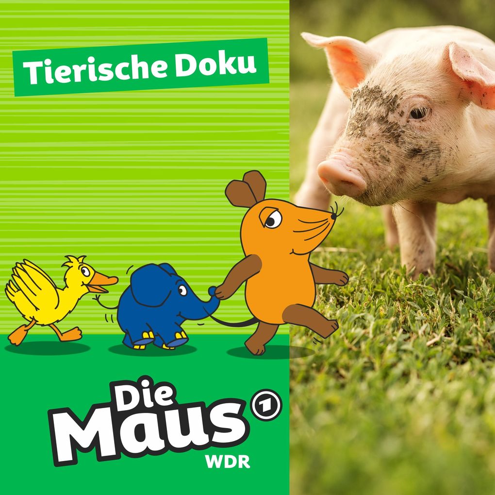 Die Maus Tierische Doku - Tierheim Düren