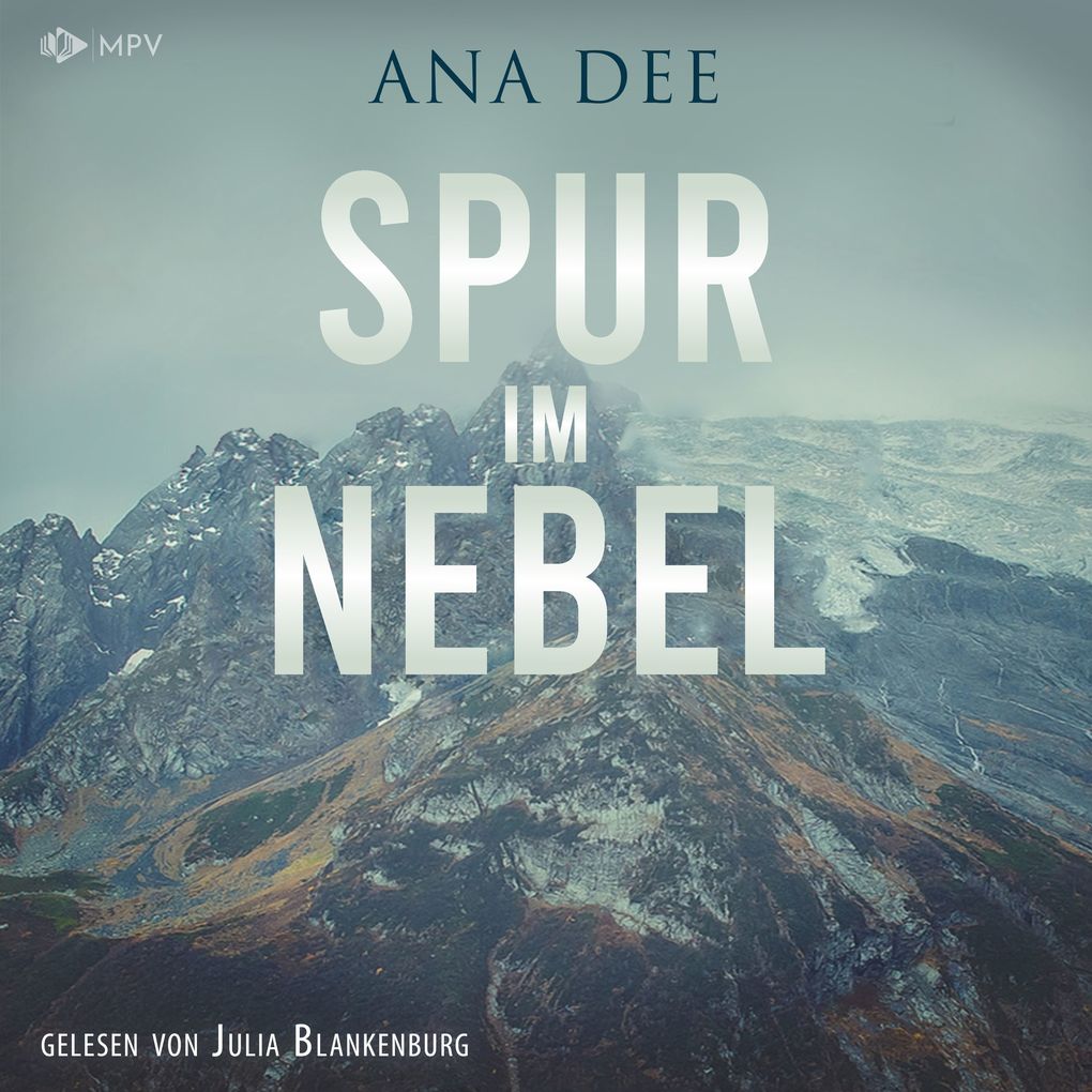 Spur im Nebel