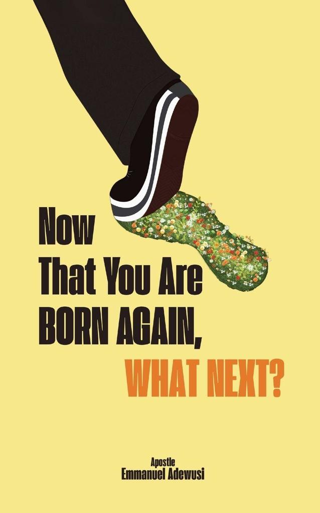 Now That You Are Born Again What Next?