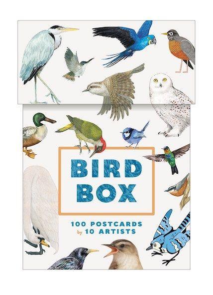 Bird Box
