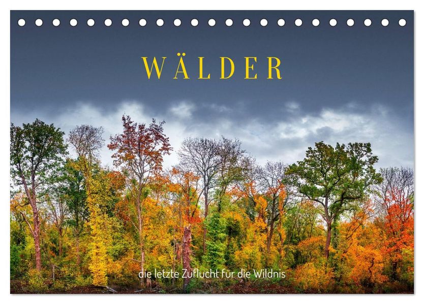Wälder: die letzte Zuflucht für die Wildnis (Tischkalender 2026 DIN A5 quer) CALVENDO Monatskalender