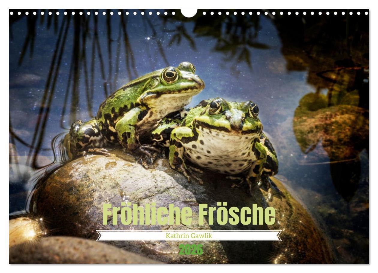 Fröhliche Frösche (Wandkalender 2026 DIN A3 quer) CALVENDO Monatskalender