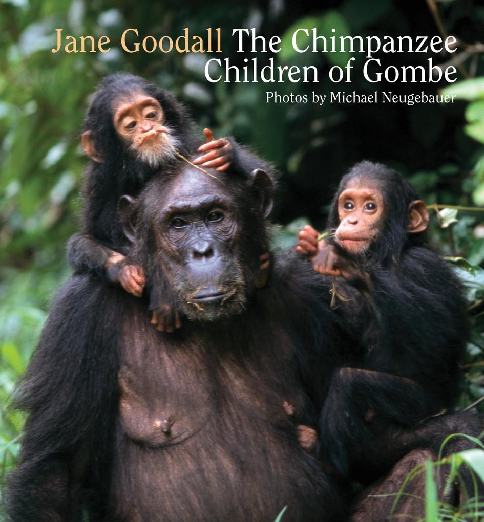 Astra Publishing House Chimpanzee Children Of Gombe