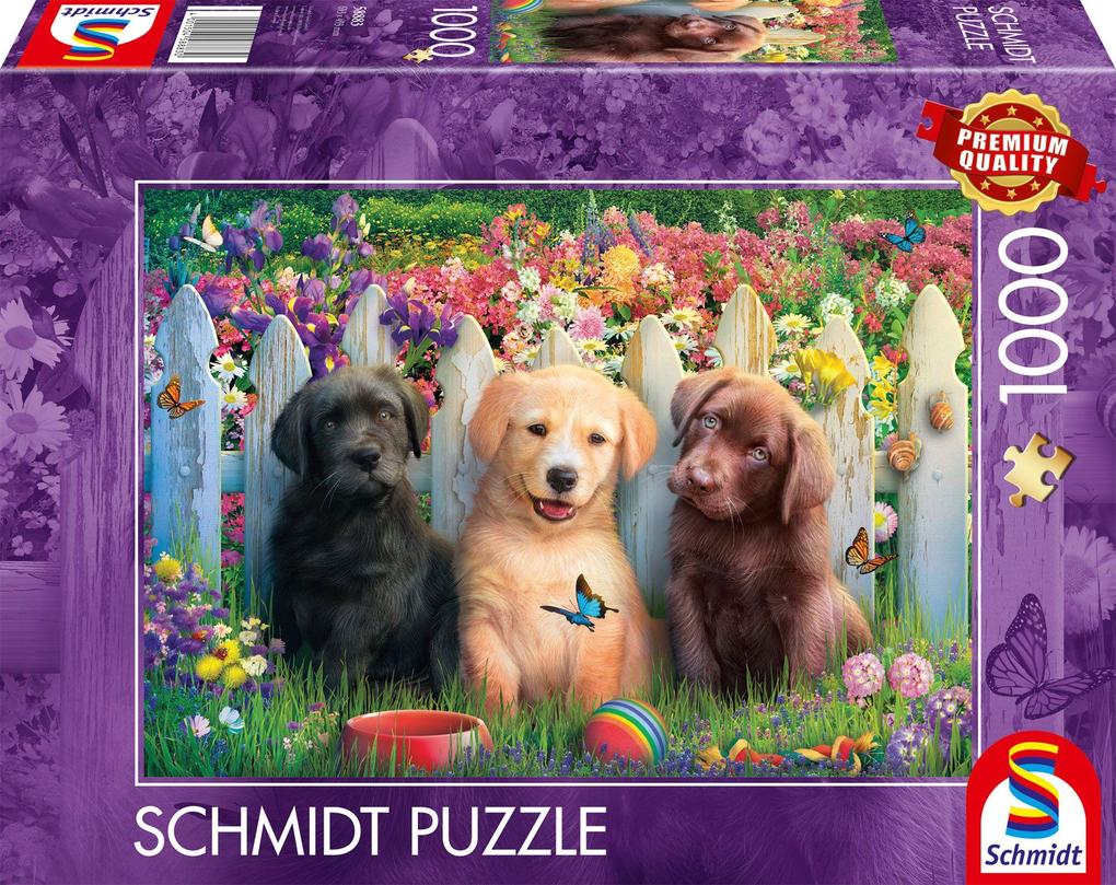 Süße Welpenszene