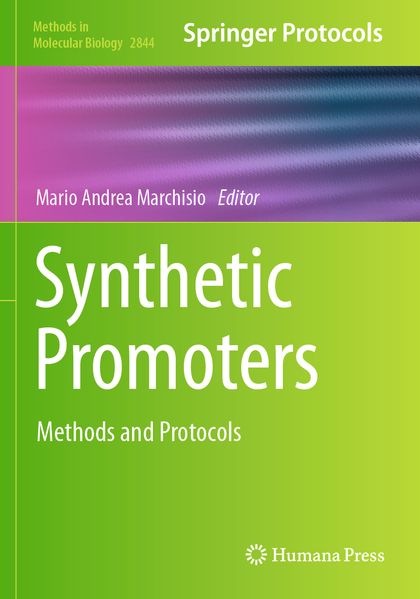 Synthetic Promoters