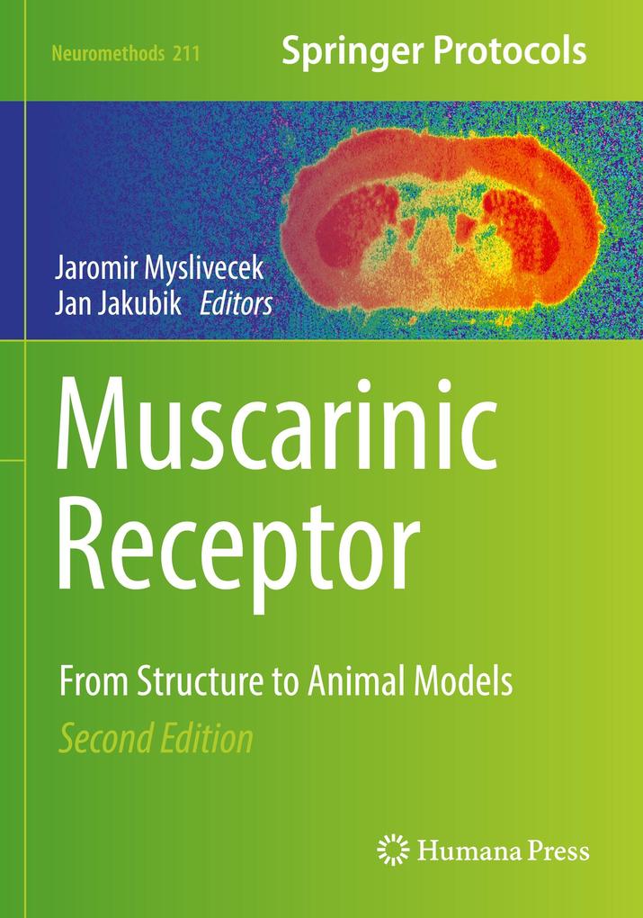 Muscarinic Receptor