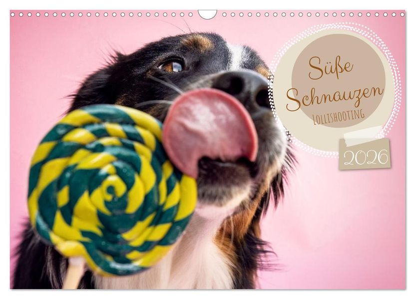 Süße Schnauzen (Wandkalender 2026 DIN A3 quer) CALVENDO Monatskalender