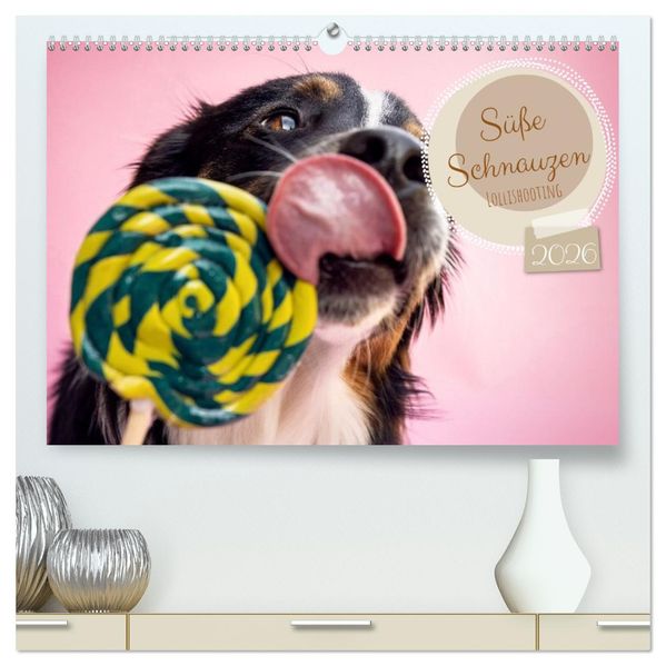 Süße Schnauzen (hochwertiger Premium Wandkalender 2026 DIN A2 quer) Kunstdruck in Hochglanz