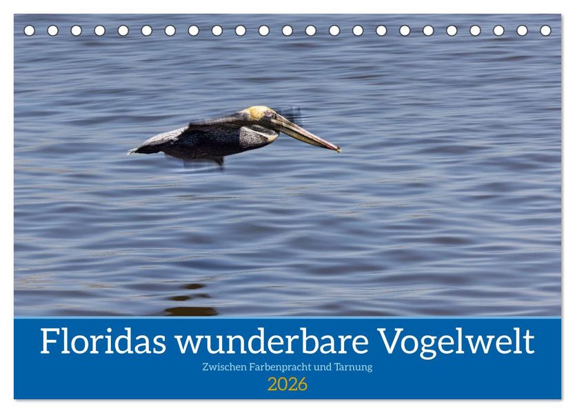Floridas wunderbare Vogelwelt (Tischkalender 2026 DIN A5 quer) CALVENDO Monatskalender