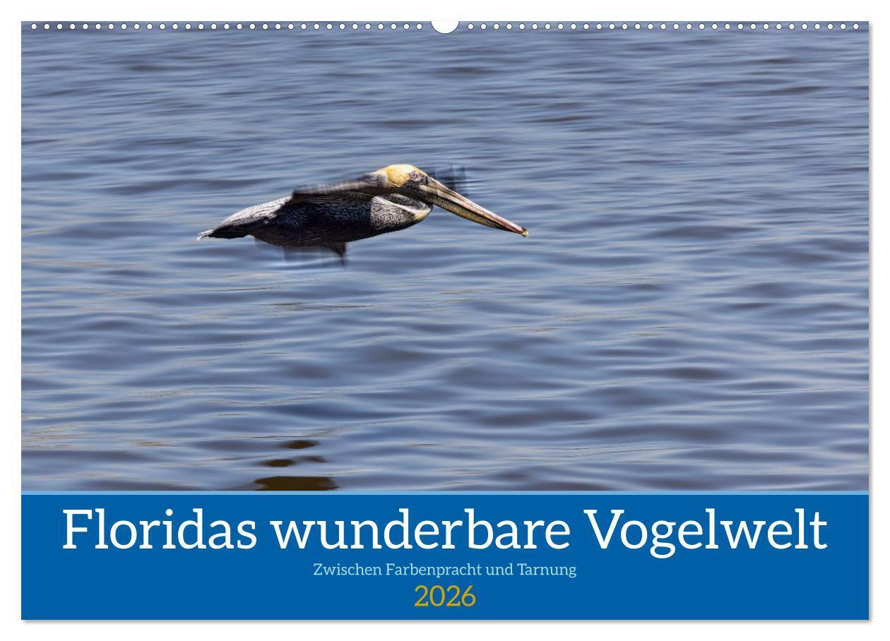 Floridas wunderbare Vogelwelt (Wandkalender 2026 DIN A2 quer) CALVENDO Monatskalender